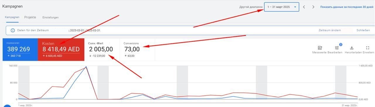 Google Ads · März 2025 — Ausgaben 8.418,49 AED, Umsatz 2.005 AED